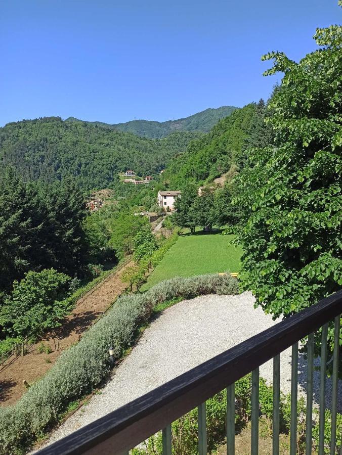 BorzonascaIl Bosco Di Campo Marzano Sunlightアパートメント エクステリア 写真