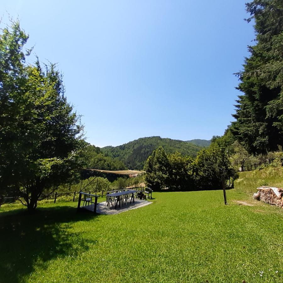 BorzonascaIl Bosco Di Campo Marzano Sunlightアパートメント エクステリア 写真